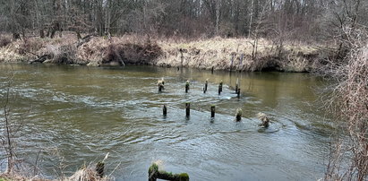 Nowa kładka powstanie nad Widawą