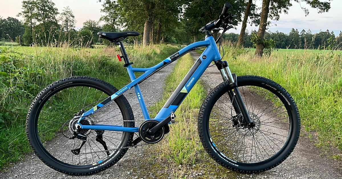 mvelo solar ladegerät für e bike akkus SunLight – Solarride cat://cube-bikes Rahmenhöhe:61cm Tulpen in der Vase