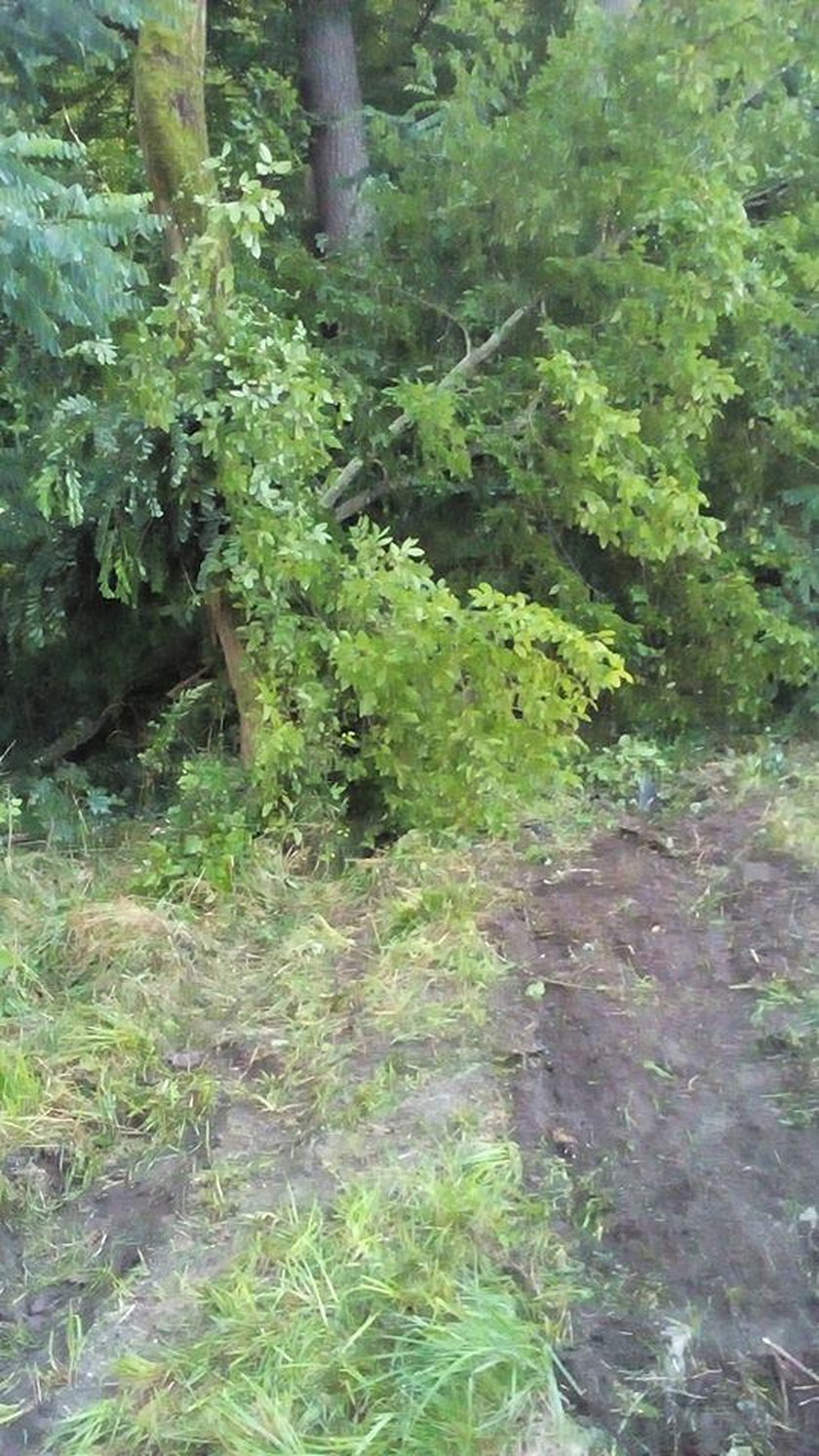 Młodzi ludzie wracali z imprezy w Bogdańcu. Auto uderzyło w drzewo