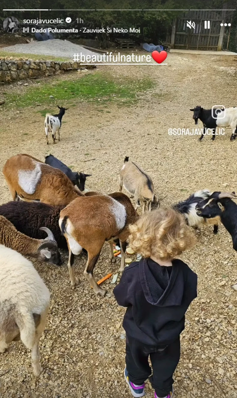 Sin Soraje Vučelić