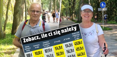 Nawet 6800 zł do emerytury w przyszłym roku [TABELA]