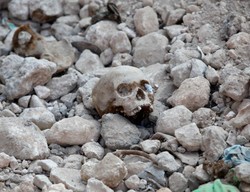 Czaszka w zoo w Płocku. Dezerter z Wehrmachtu?