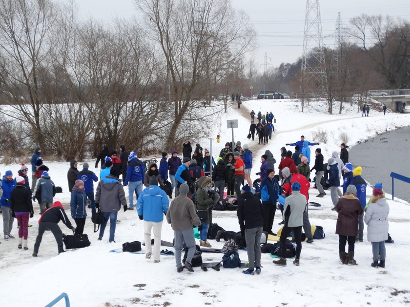 Kąpiel morsów w Zalewie Zemborzyckim