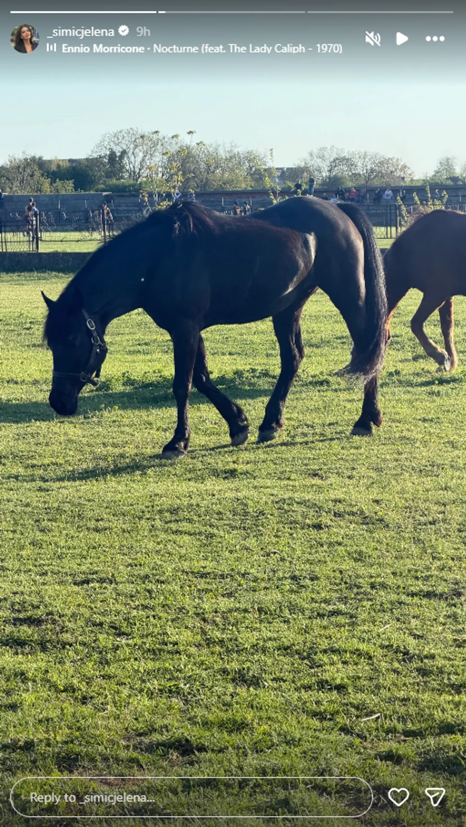 Jelena Simić, objava