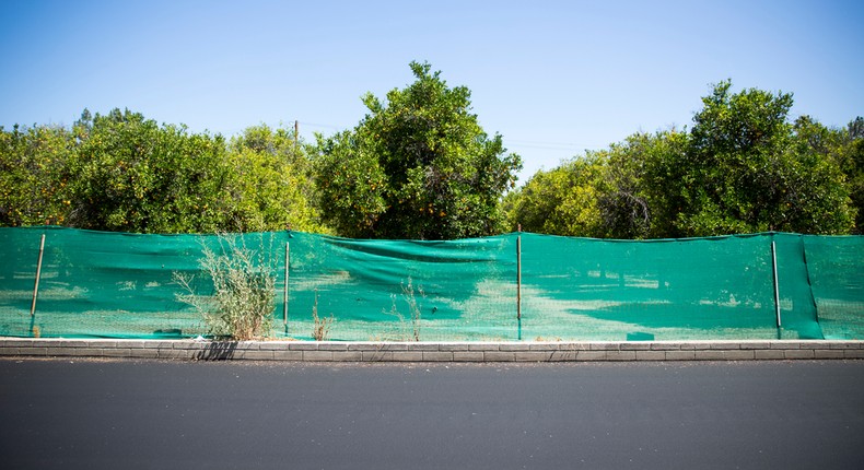 Sprawl may eat vestige of Southern California's citrus empire