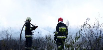 Susza zebrała kolejne żniwa!