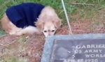 Pies nie chce opuścić grobu swojej pani. To nagranie łamie serce