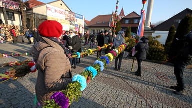 Ponad 32 metry mierzyła najwyższa palma w Lipnicy Murowanej