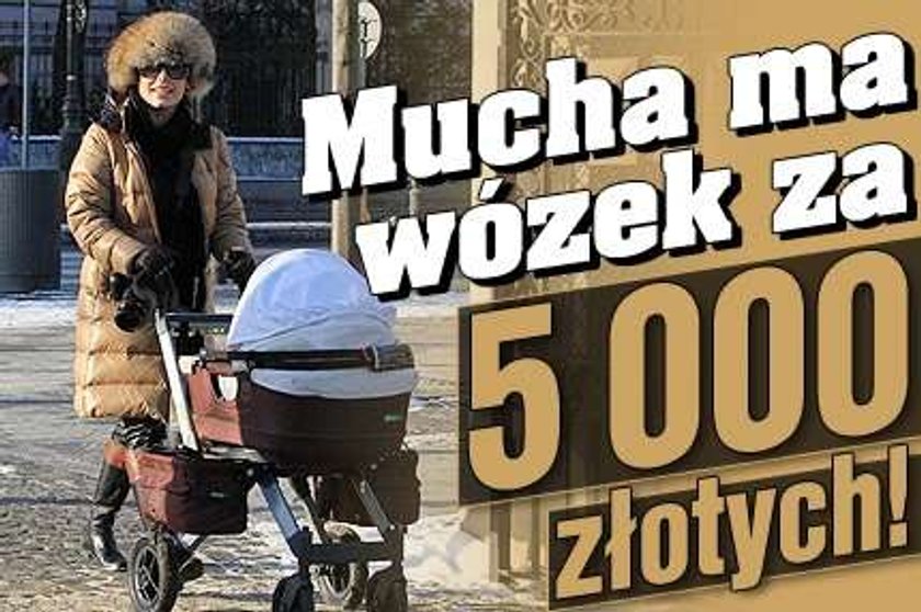 Mucha ma wózek za 5 000 zł!