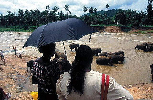 Galeria Sri Lanka - Łza Indii, obrazek 7