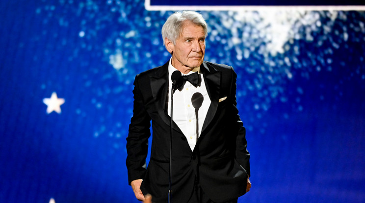 Harrison Ford beszéde igencsak meghatóra sikerült /Fotó: GettyImages