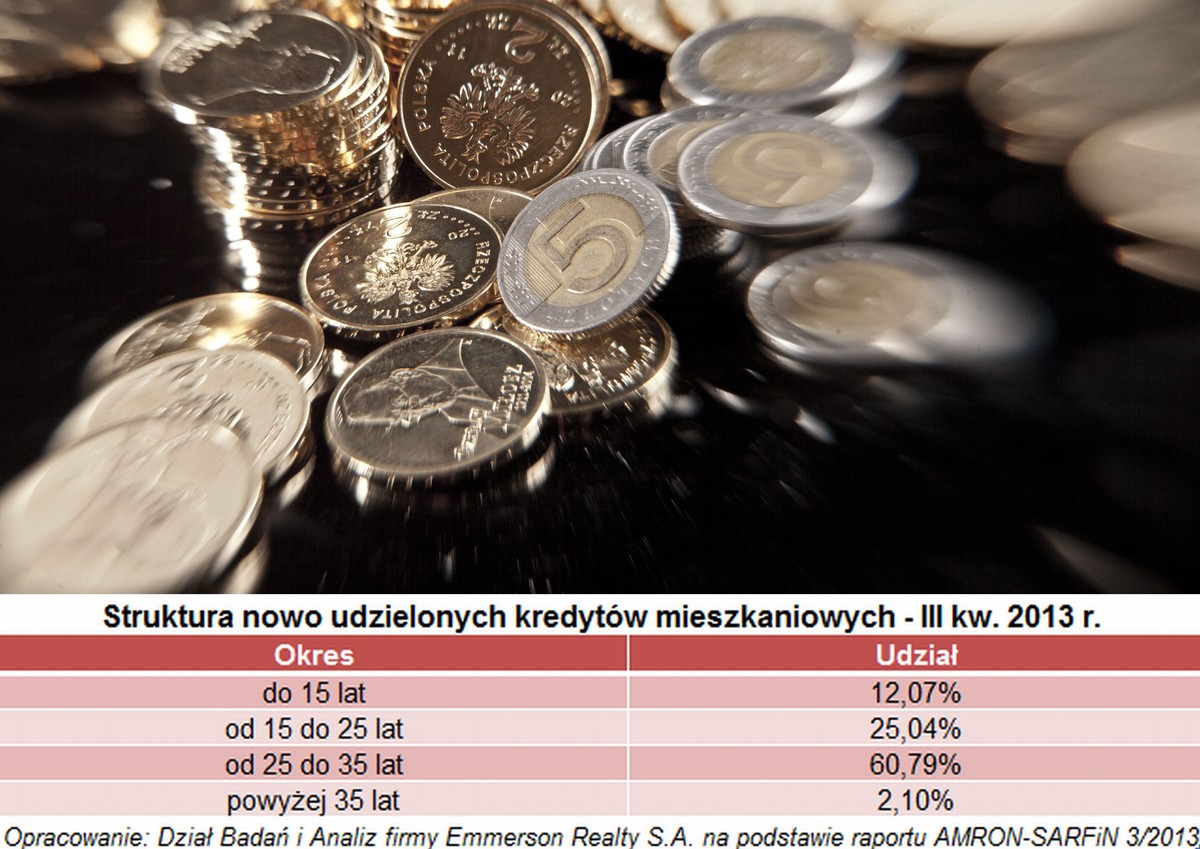 Struktura nowo udzielonych kredytów mieszkaniowych - III kw. 2013 r.