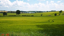 szlachecka fortuna w rękach dziecka. sensacyjna historia 11-latki, która przejęła ziemię za 27 mln euro