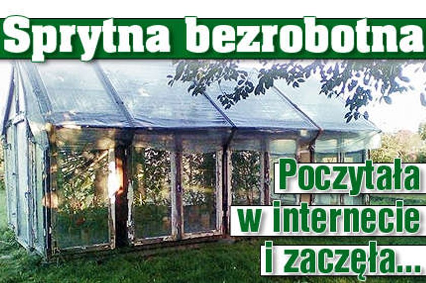 Sprytna bezrobotna. Poczytała w internecie i zaczęła uprawę konopi