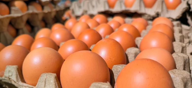 Ceny jaj szaleją. Są droższe niż mięso, tak źle jeszcze nie było