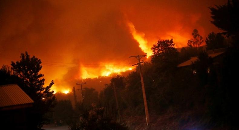 A forest fire burns out of control in Santa Olga, Chile on January 25, 2017