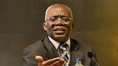 Femi Falana (SAN) [PM News Nigeria]