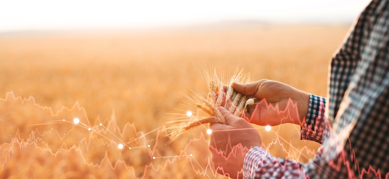 Popularne pestycydy mogą szkodzić męskiej płodności – alarmujące wyniki badań