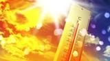 Upały z temperaturami dochodzącymi nawet do 31 stopni Celsjusza. Prognoza pogody na czwartek, 24 lipca