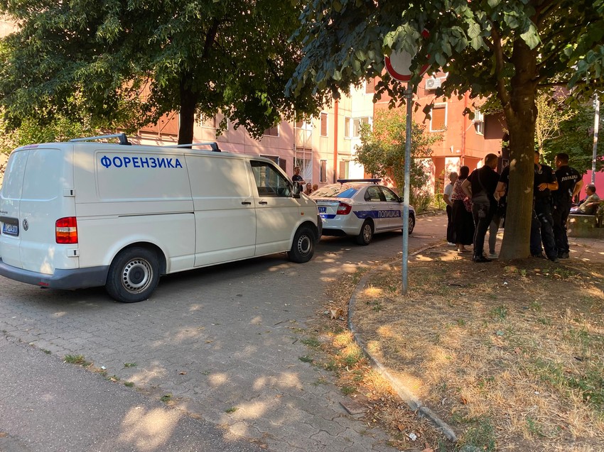 Bežanijska kosa hronika