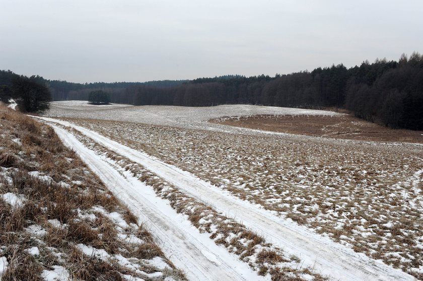 Urzędnicy wytyczyli drogę wojewódzką. Ale żaden nie zauważył, że to zwykła polna ścieżka