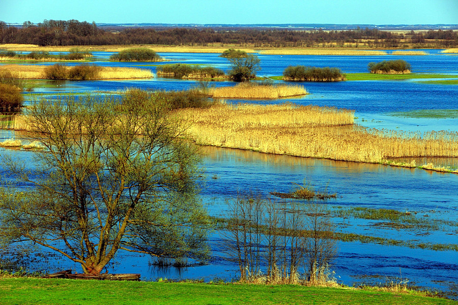 Bagna Biebrzańskie