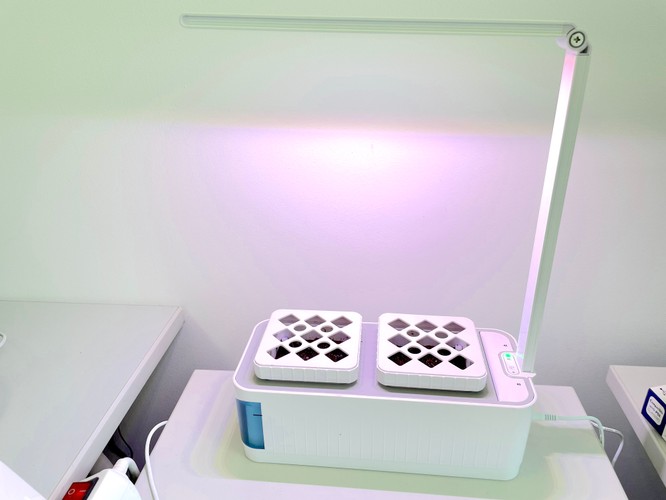 Ratgeber Indoor-Gärten: Kräuter, Gemüse & Anzucht für innen | TechStage