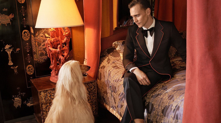 Tom Hiddlestone a Gucci új arca / Fotó: Profimedia - Reddot