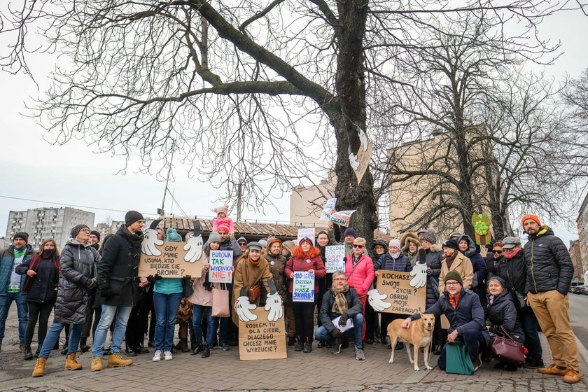 Katowice. Wiec w obronie kasztanowców przy ul. Raciborskiej