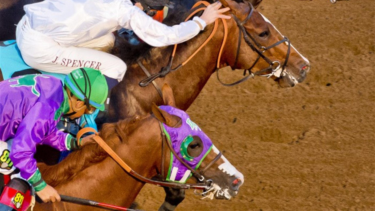 Pomimo kontrowersji otaczających wygraną konia Bayern podczas Breeders Cup Classic, jest on na najlepszej drodze do zdobycia tytułu Konia Roku.