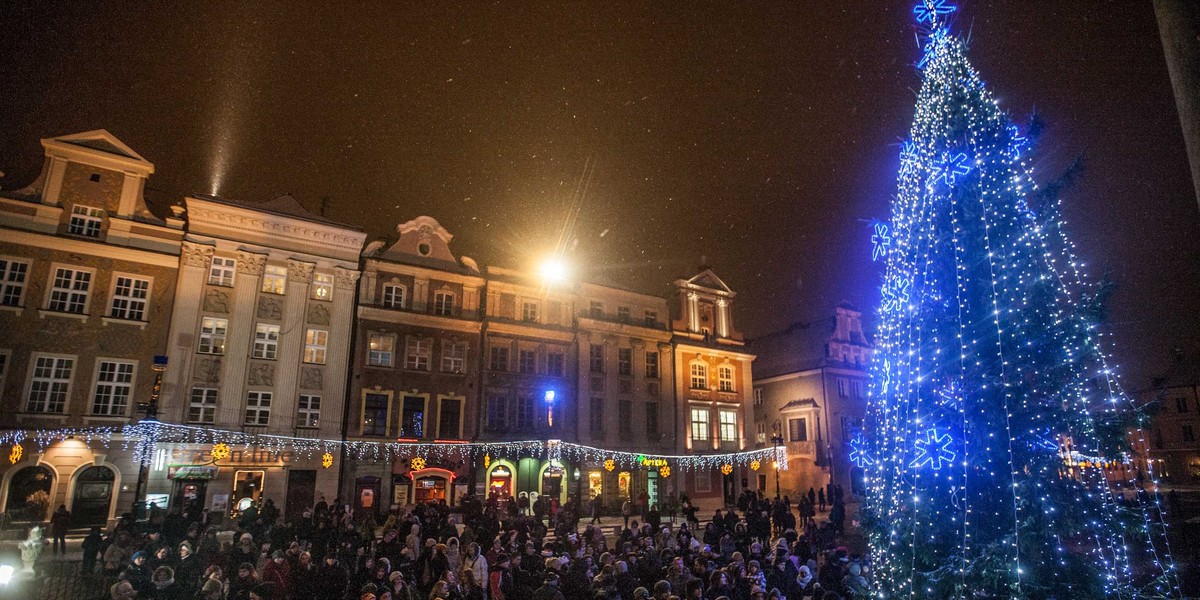 Na Rynku rozbłysła miejska choinka