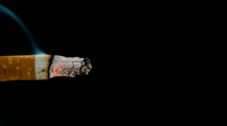 A mentős vesztét egy égő cigarettacsikk okozhatta /Fotó: Northfoto