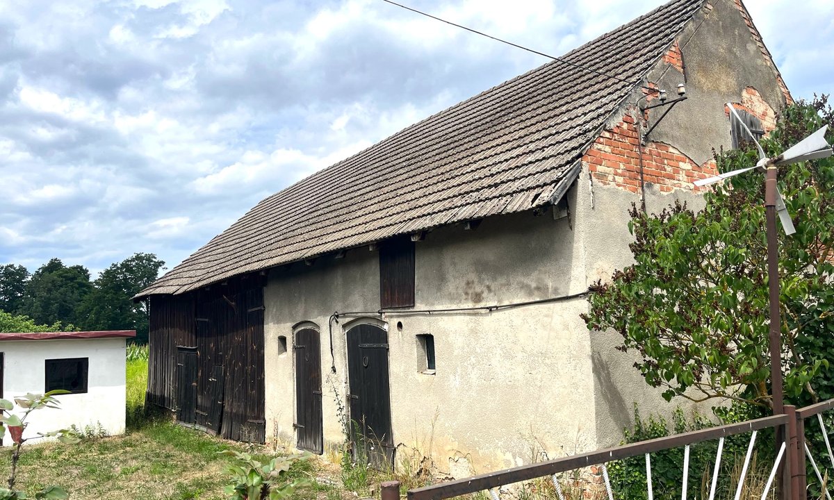 Maria i Michał zmienili stodołę w dom. "Mieszkała tam świnia i króliki"