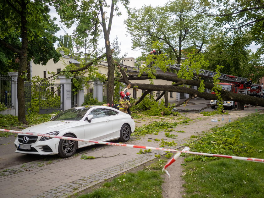 Księży Młyn w Łodzi. Drzewo runęło na ulicę