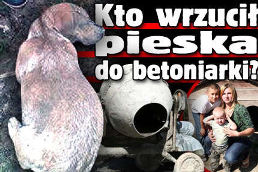 Kto wrzucił pieska do betoniarki?!