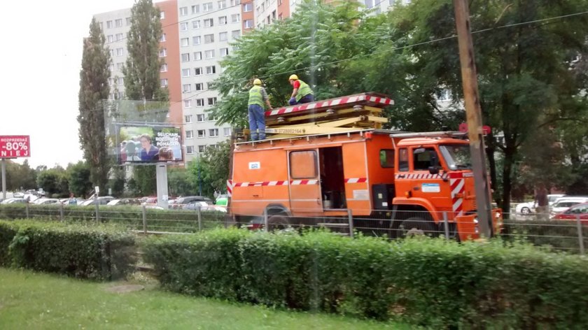 Wykolejenie tramwaju na Żmigrodzkiej we Wrocławiu