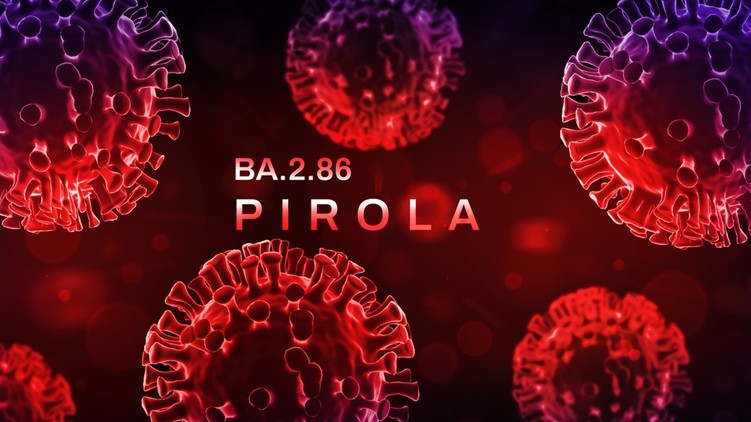 Pirola koronavírus új mutáció varians