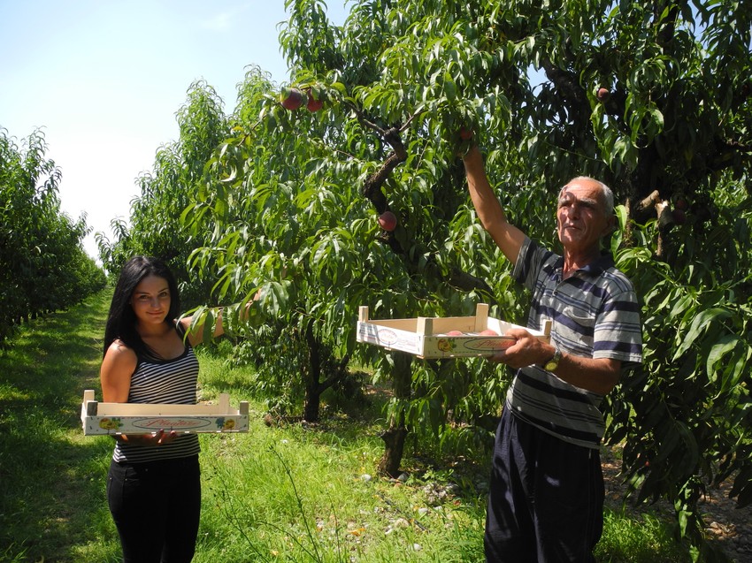 Breskve i nektarine su kao dva oka u glavi