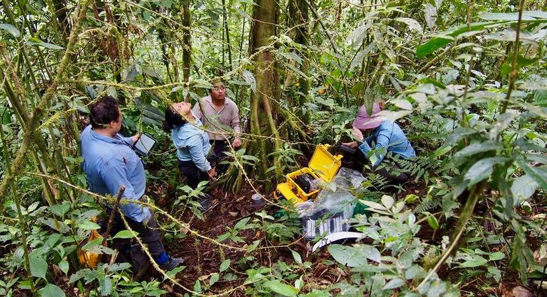 Researchers measure methane in trees in Peru.Vincent Gauci