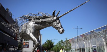 Budżet obywatelski. Czy w Łodzi będzie festiwal jednorożca?