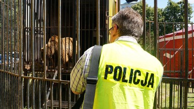 Właściciele cyrku skazani za znęcanie się nad zwierzętami