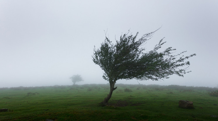 Brutális szélvihar pusztított az egész ország területén /Illusztráció: Unsplash