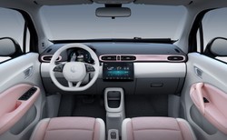 Koncern zaskoczył decyzją. Nowy model do produkcji tylko w Polsce