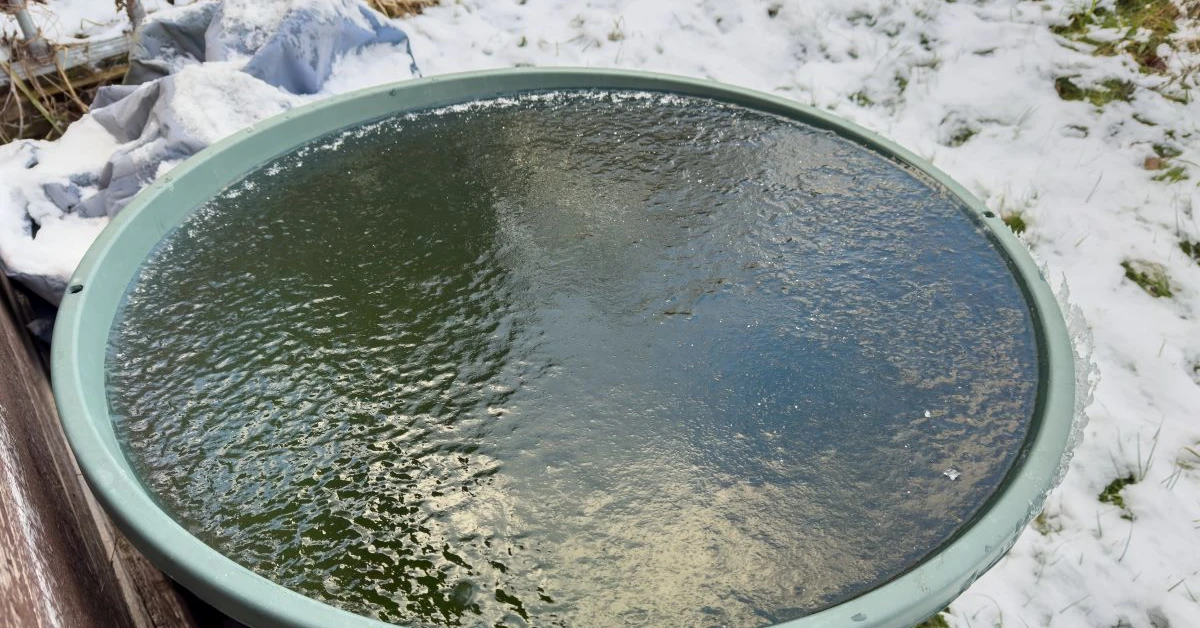 4000 zł na deszczówkę. Nabór wniosków rusza już 15 stycznia