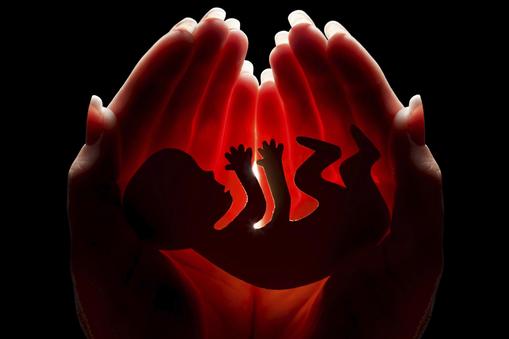 aborcja płód
