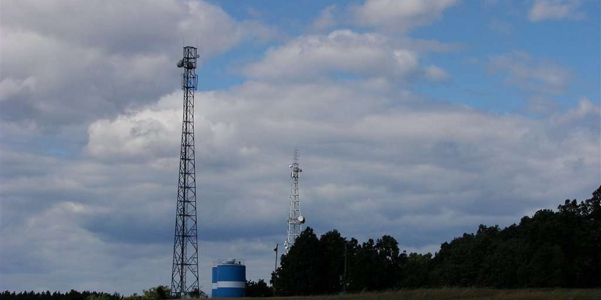 Badamy, dlaczego umierają