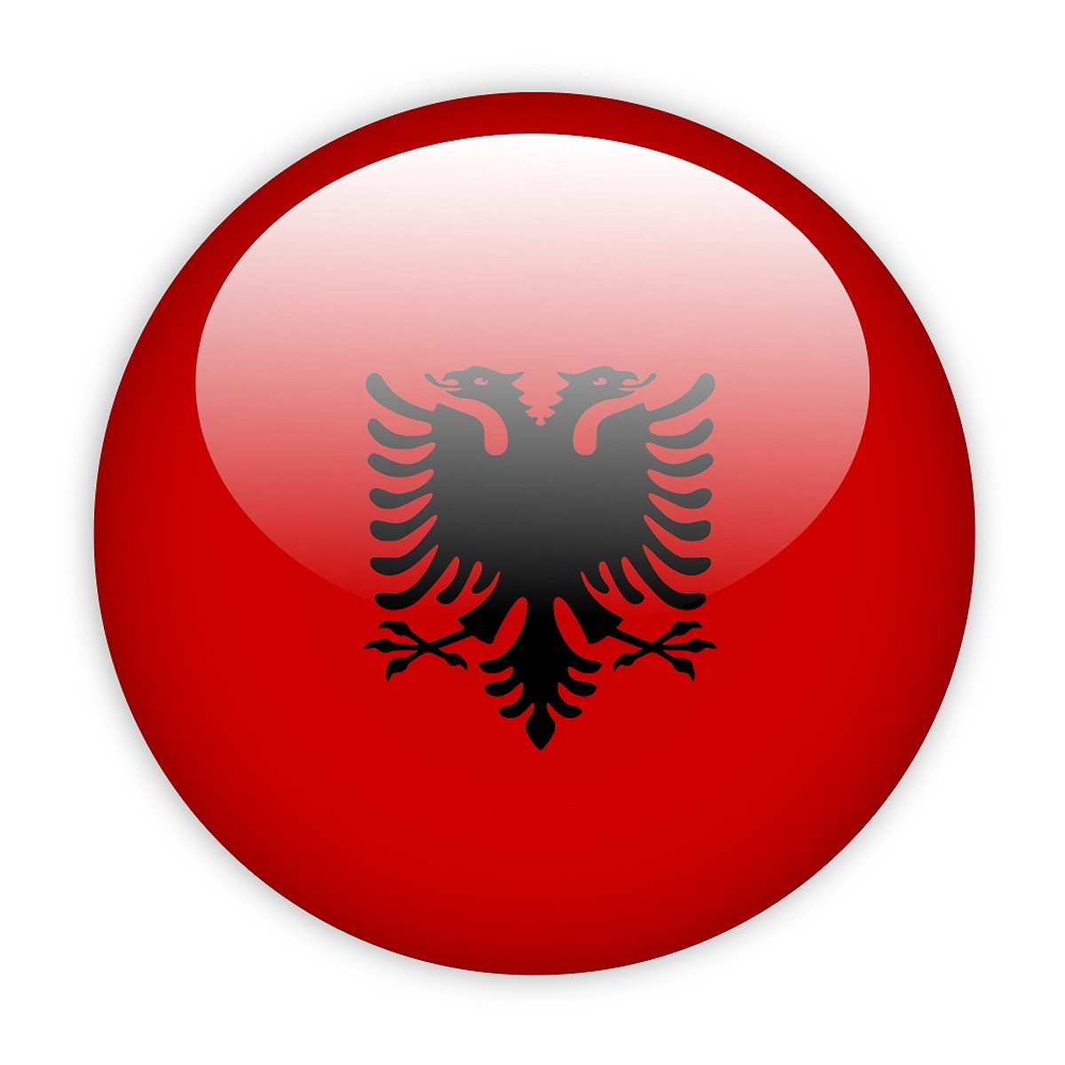 Euro 2016: Albania