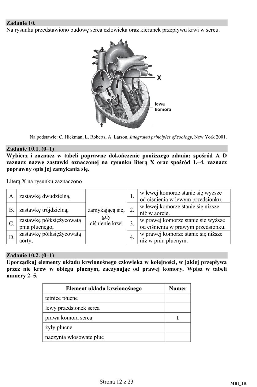 Matura 2017 z biologii poziom rozszerzony. Nowa formuła. Odpowiedzi