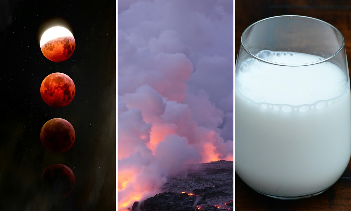 Błyskawiczny quiz z wiedzy ogólnej. Sprawdź, czy dasz radę bez ani jednego błędu