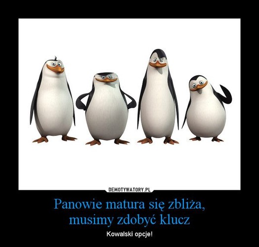 Matura szyderczym okiem internautów